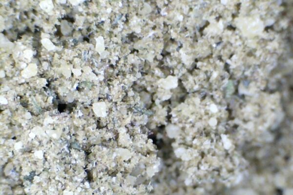 Juicy Fruit Kief /1 gm.  by:  Humboldt Farms - Image 4